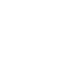 Wheelchair icon