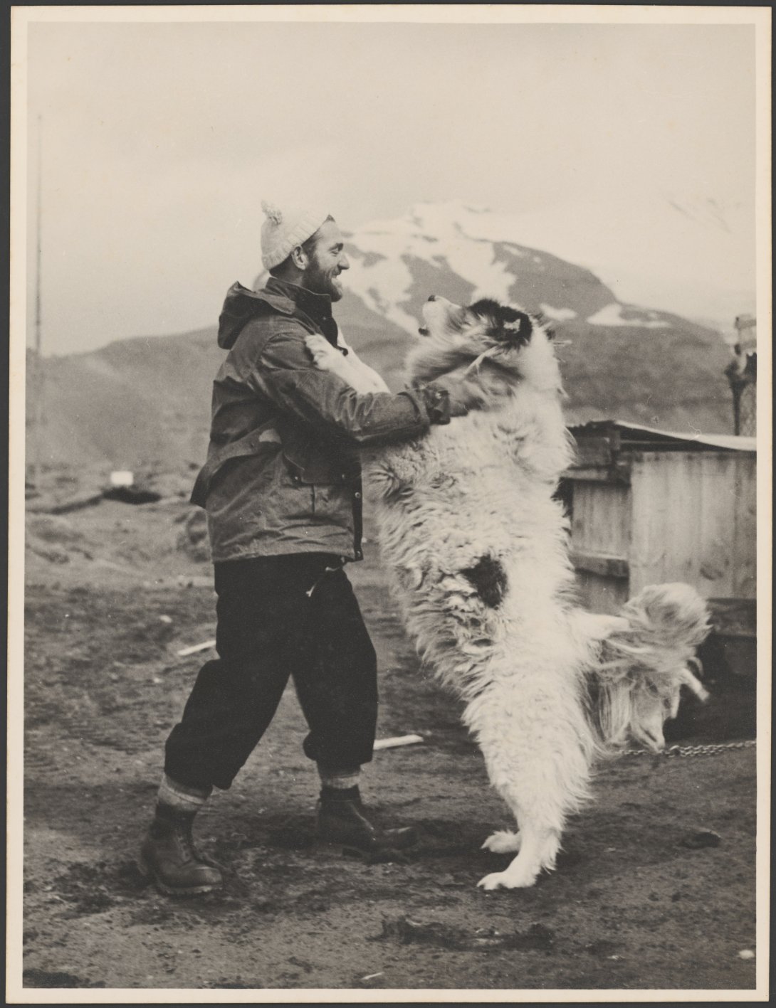 An explorer with George the huskie, Antarctica, 1955