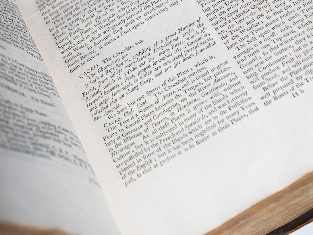 Close up of the dictionary