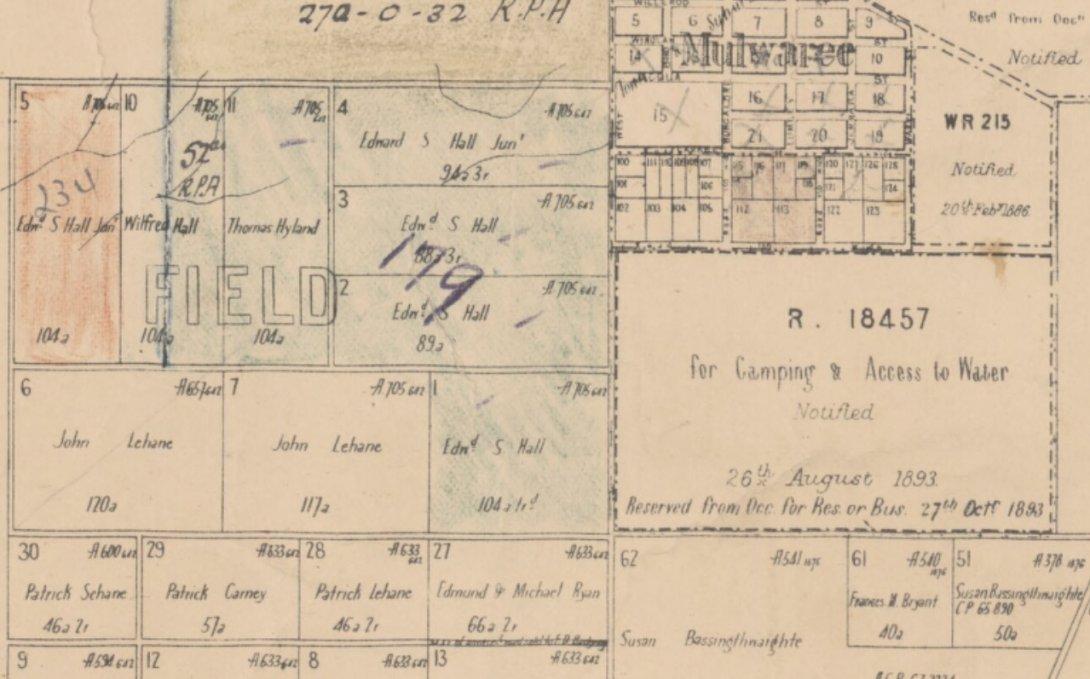 Parish of Mulwaree in Golburn 1894