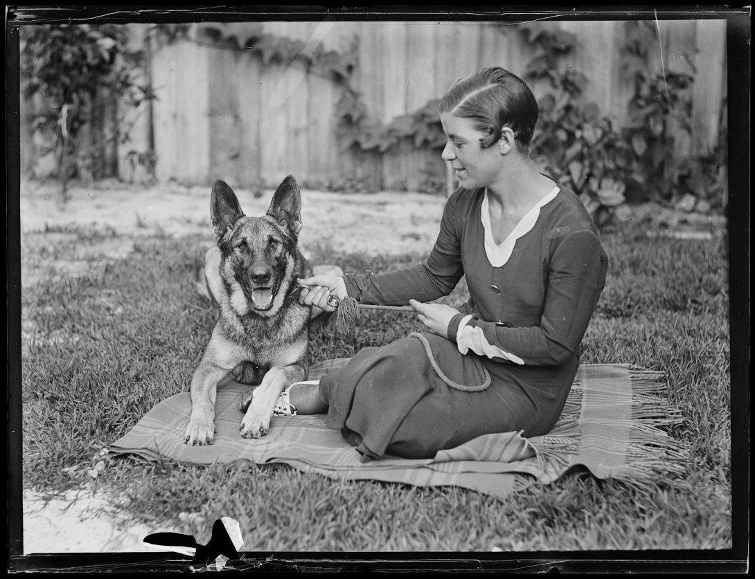 Swimmer Bonnie Mealing with a German Shepherd dog, New South Wales, ca. 1930s.jpg