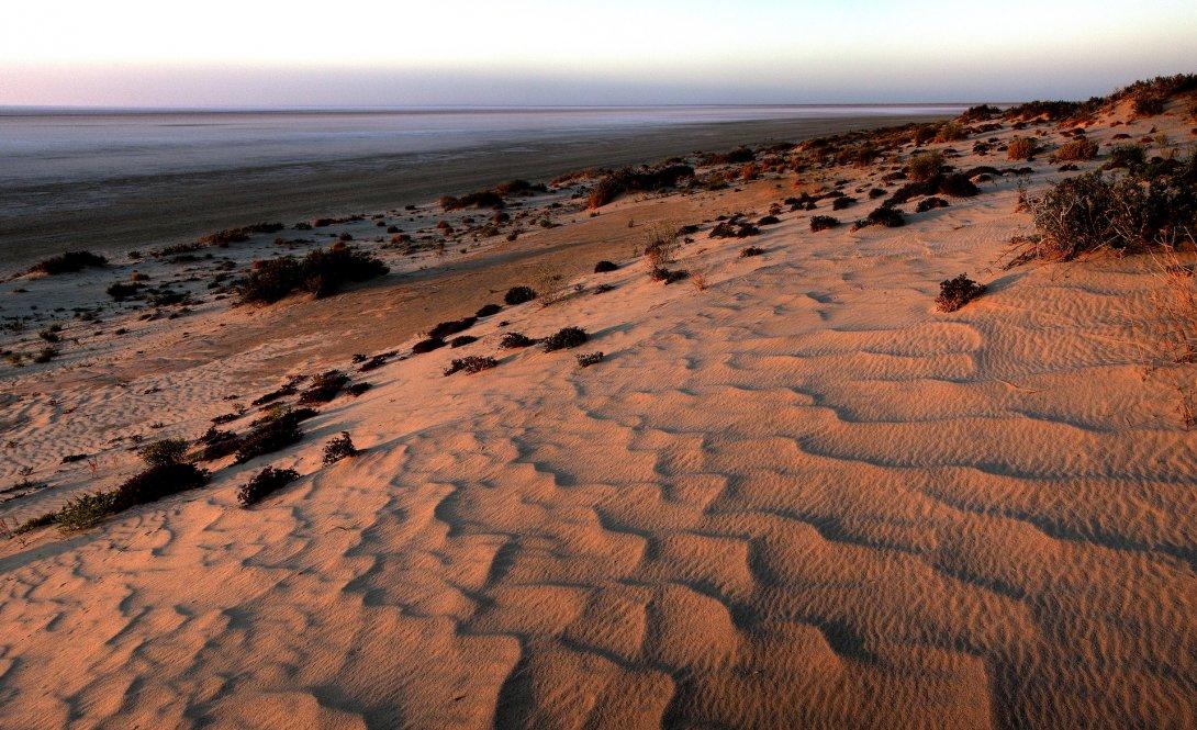 Trevern Dawes, Sand Dunes at Lake Eyre North, South Australia, 2009