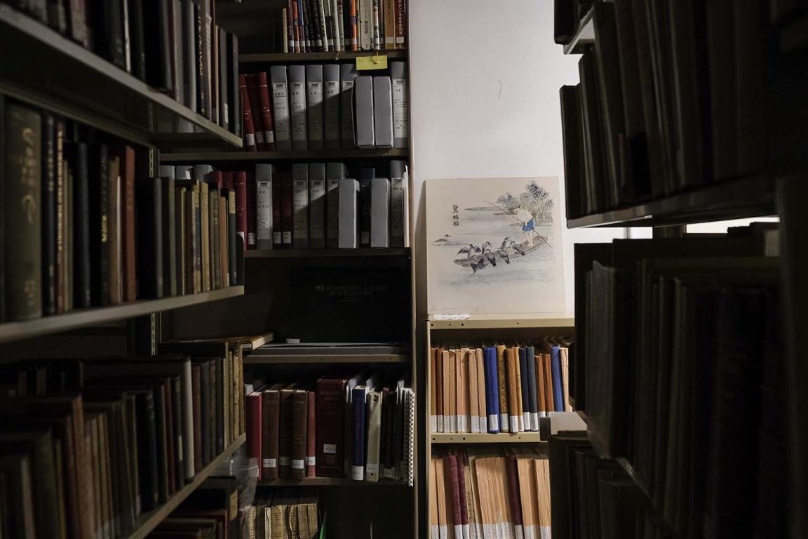 Shelves containing books and journals and a picture of a man in a boat looking at birds that sit on the sides of the boat