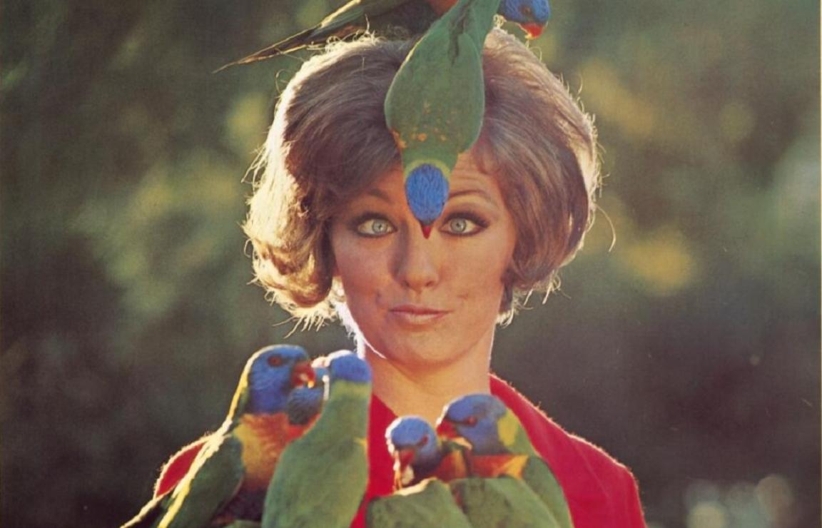 A woman in a red shirt who has two lorikeets sitting on her heard, and 7 perched in front of her.