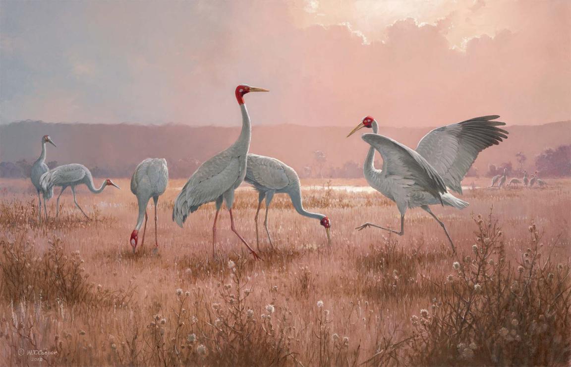 A painting of five crane birds standing on a grassy surface with mountains in the background.