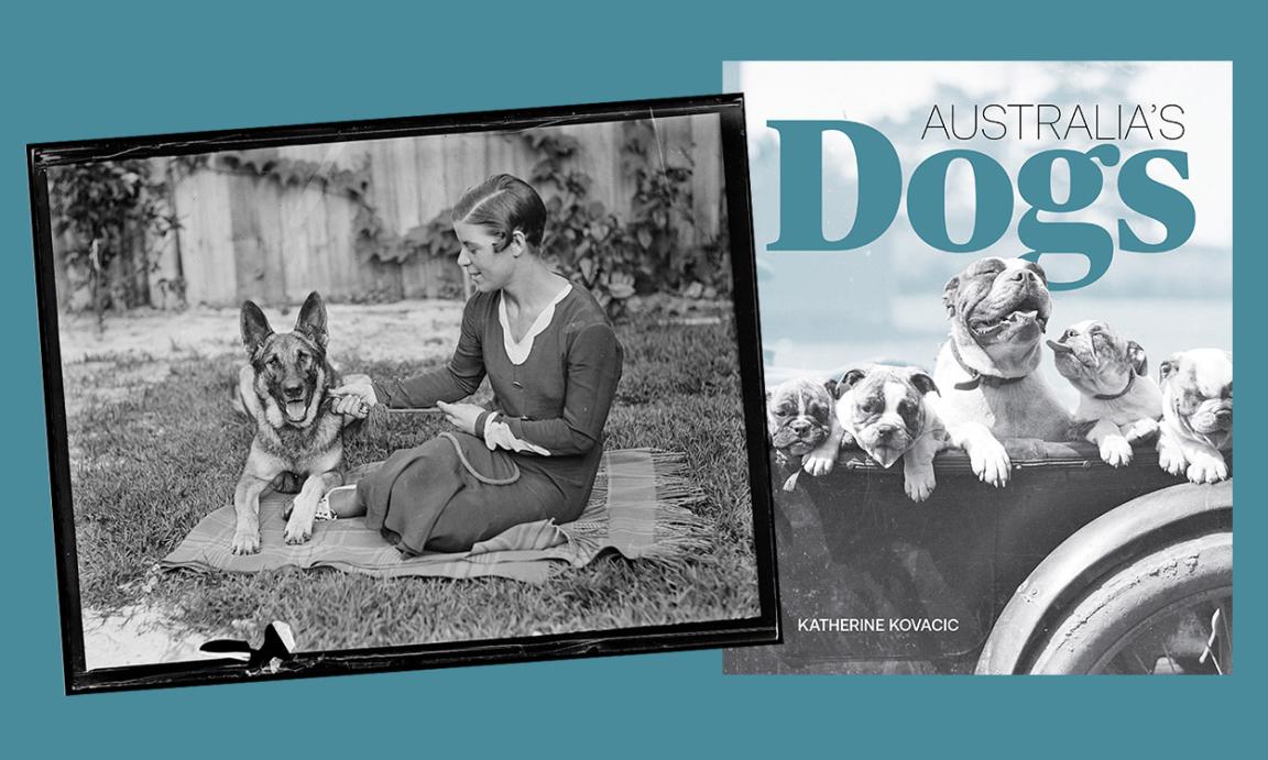 Two images on a teal background. On the left a black and white photo of a lady sitting on a picnic rug with her German Shepherd. On the right is an image of the book cover for Australia's Dogs.