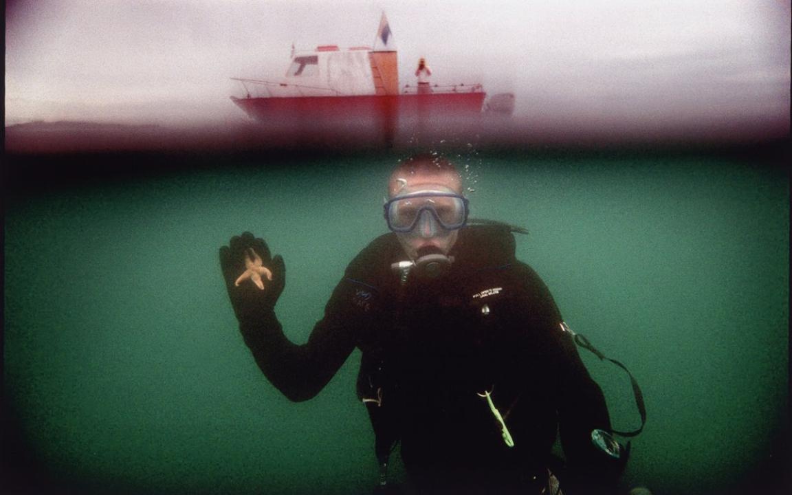 starfish diver Simon O'Dwyer