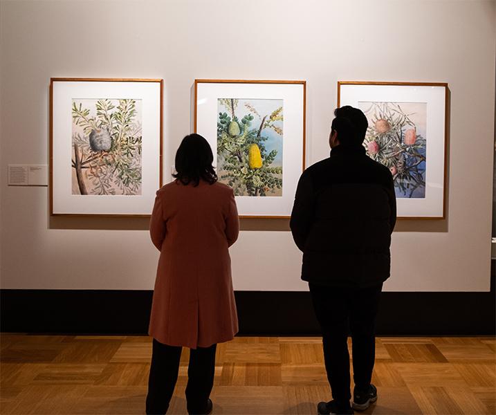 The backs of two people standing looking at 3 framed floral images on a wall.