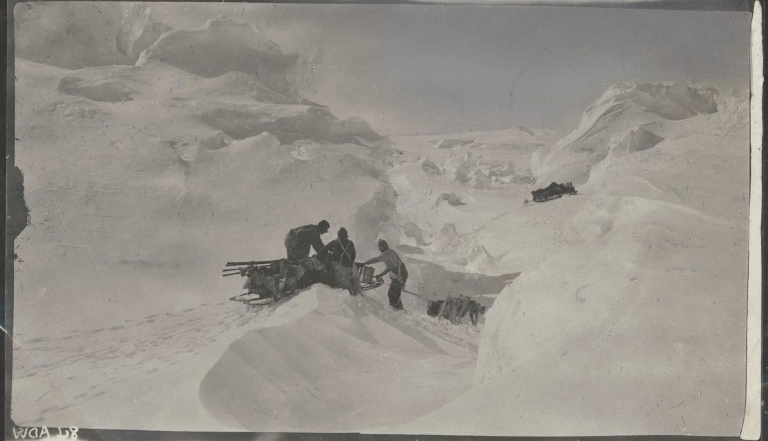 Andrew Watson, Guiding sledge over a gully, Australasian Antarctic Expedition, 1911-14